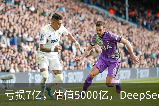 亏损7亿，估值5000亿，DeepSeek凭什么上科创板？